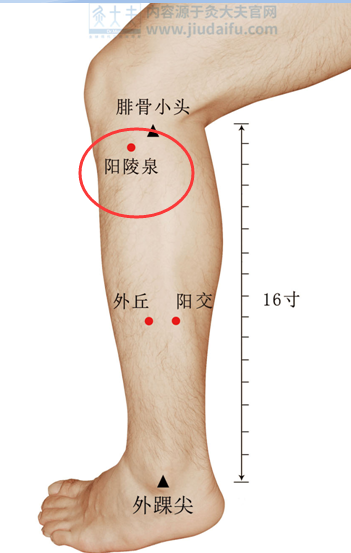 艾灸8句口诀,覆盖人体大部分疾病,全背住,你就是艾灸高手!